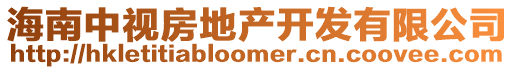 海南中視房地產開發有限公司