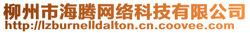 柳州市海騰網(wǎng)絡(luò)科技有限公司