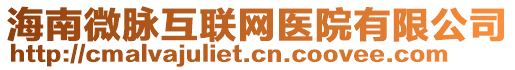 海南微脈互聯網醫院有限公司