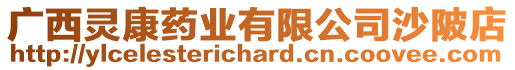 廣西靈康藥業(yè)有限公司沙陂店
