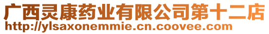 廣西靈康藥業(yè)有限公司第十二店