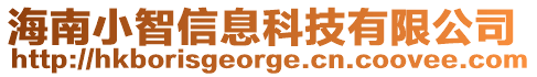 海南小智信息科技有限公司