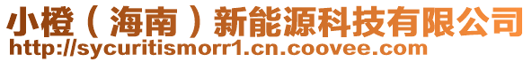 小橙(海南)新能源科技有限公司
