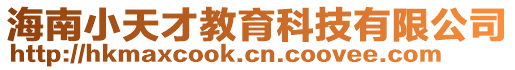 海南小天才教育科技有限公司