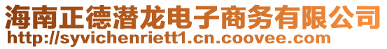 海南正德潛龍電子商務有限公司