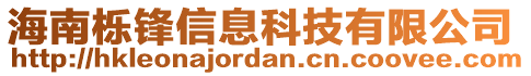 海南櫟鋒信息科技有限公司