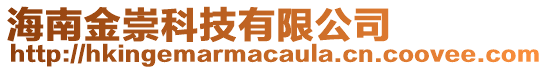 海南金崇科技有限公司