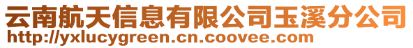 云南航天信息有限公司玉溪分公司