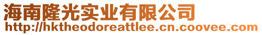 海南隆光實業有限公司
