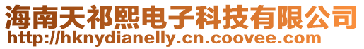 海南天祁熙電子科技有限公司