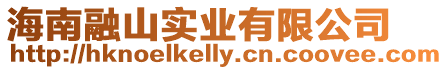 海南融山實業有限公司