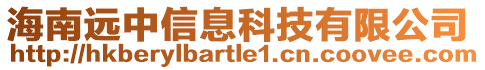 海南遠中信息科技有限公司