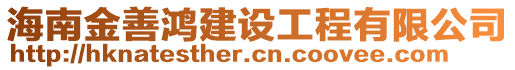 海南金善鴻建設(shè)工程有限公司