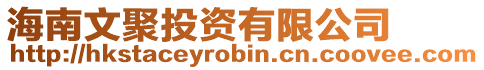 海南文聚投資有限公司