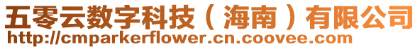 五零云數字科技(海南)有限公司