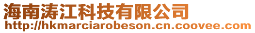 海南濤江科技有限公司
