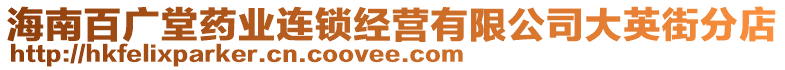 海南百廣堂藥業(yè)連鎖經(jīng)營有限公司大英街分店