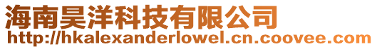 海南昊洋科技有限公司