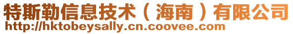 特斯勒信息技術（海南）有限公司