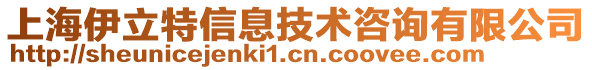 上海伊立特信息技術(shù)咨詢(xún)有限公司