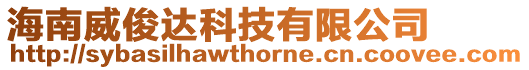 海南威俊達科技有限公司