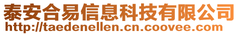 泰安合易信息科技有限公司