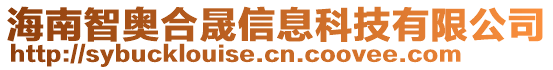 海南智奧合晟信息科技有限公司