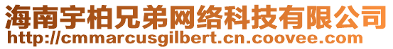 海南宇柏兄弟網絡科技有限公司