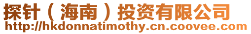 探針(海南)投資有限公司