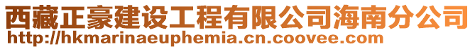 西藏正豪建設工程有限公司海南分公司