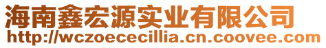 海南鑫宏源實業有限公司