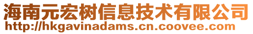 海南元宏樹信息技術有限公司