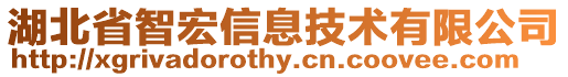 湖北省智宏信息技術有限公司