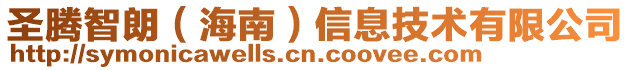 圣騰智朗（海南）信息技術有限公司