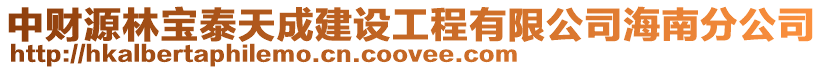 中財源林寶泰天成建設工程有限公司海南分公司