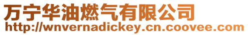 萬寧華油燃氣有限公司