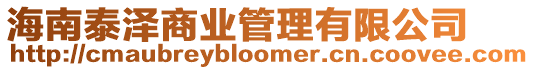 海南泰澤商業管理有限公司