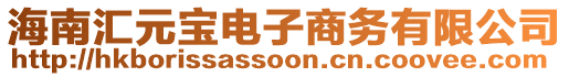 海南匯元寶電子商務(wù)有限公司