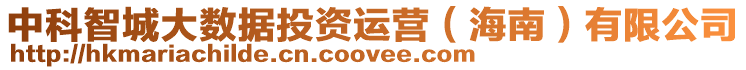 中科智城大數據投資運營（海南）有限公司