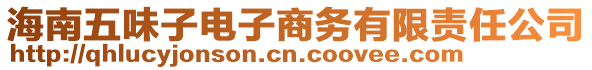 海南五味子電子商務有限責任公司