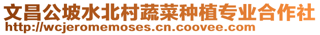 文昌公坡水北村蔬菜種植專業(yè)合作社