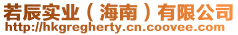 若辰實(shí)業(yè)(海南)有限公司