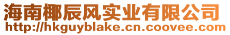 海南椰辰風實業有限公司