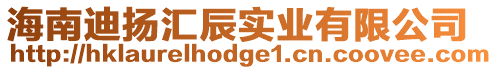 海南迪揚匯辰實業有限公司