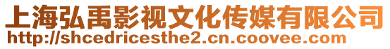 上海弘禹影視文化傳媒有限公司