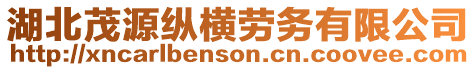 湖北茂源縱橫勞務(wù)有限公司