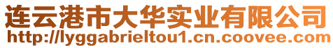 連云港市大華實業有限公司