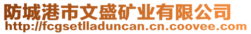 防城港市文盛礦業(yè)有限公司