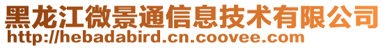 黑龍江微景通信息技術(shù)有限公司