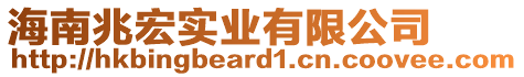 海南兆宏實(shí)業(yè)有限公司